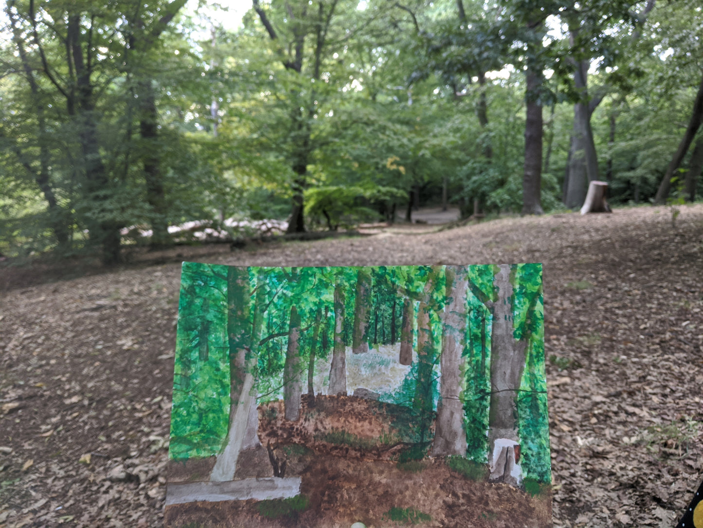 Woodland Walk - art print