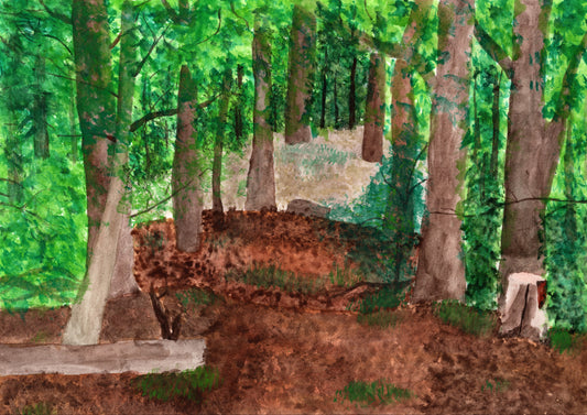 Woodland Walk - art print