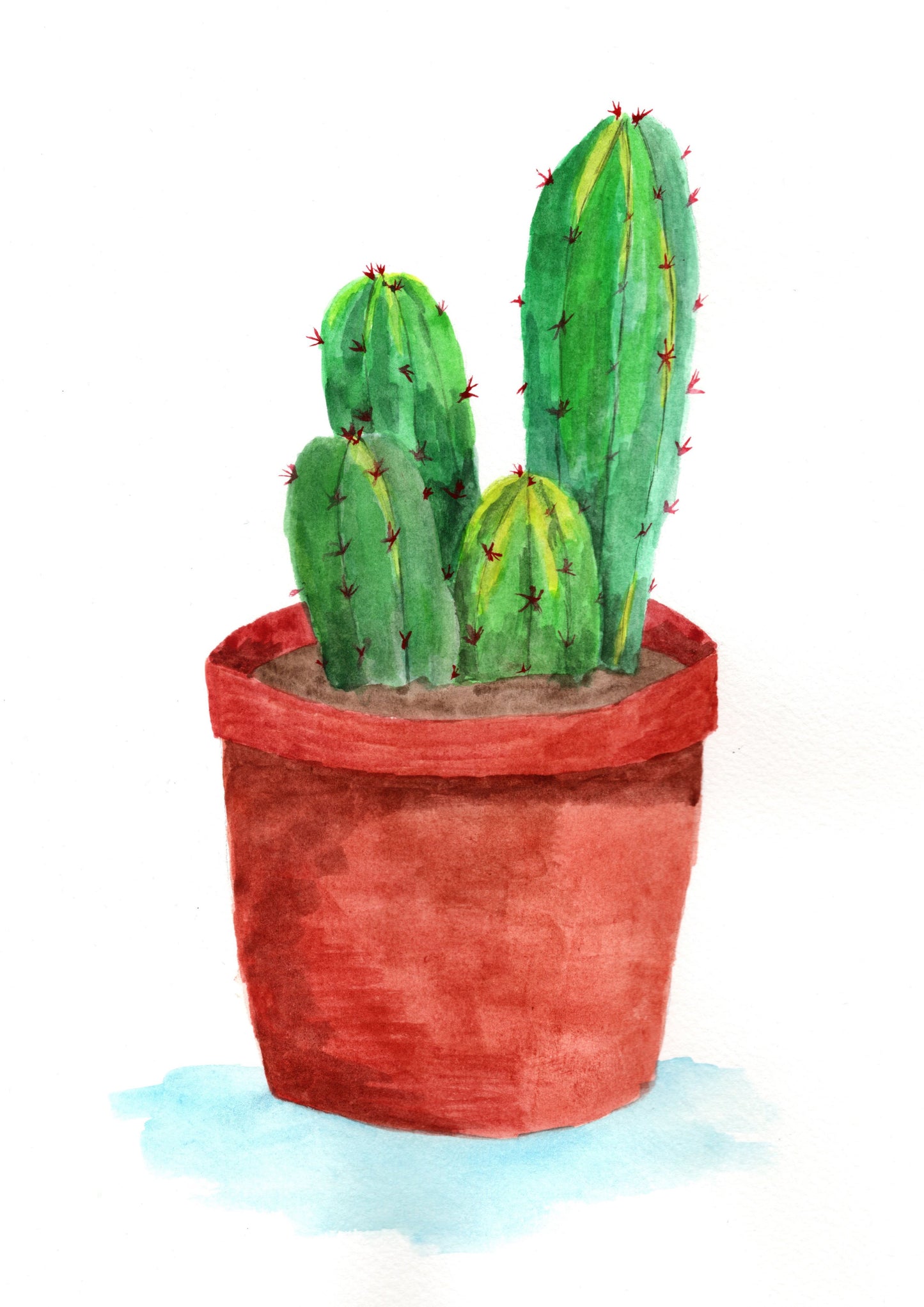 Cactus - art print